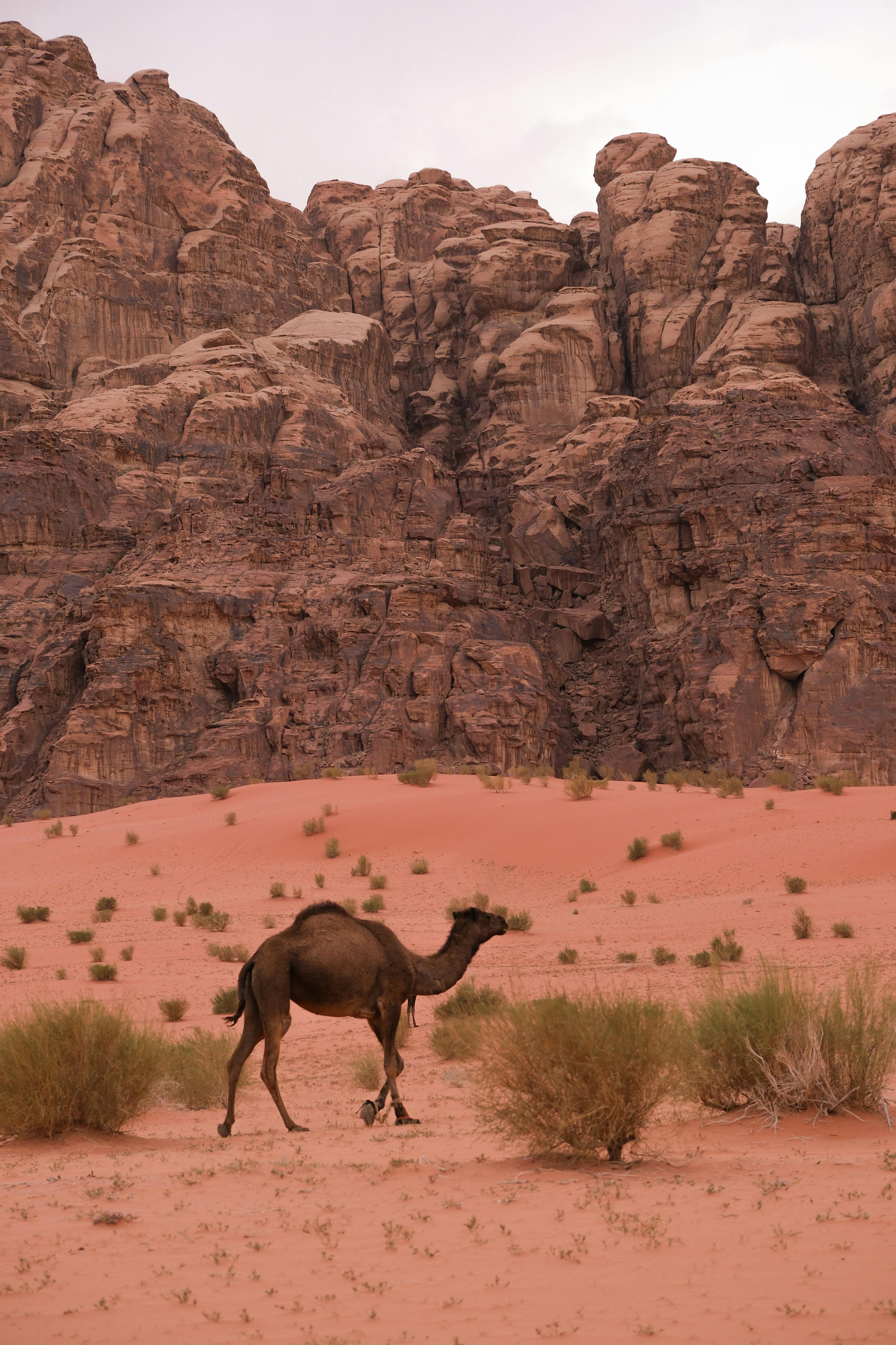 Jebel Jais