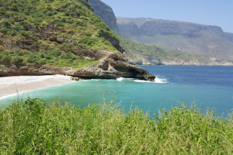 Frankincense Trail Salalah Oman