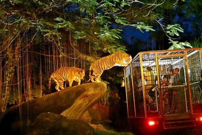 Night Safari Singapore