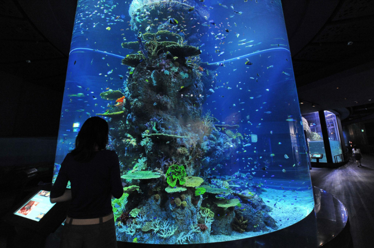 Aquaria KLCC Kuala Lumpur