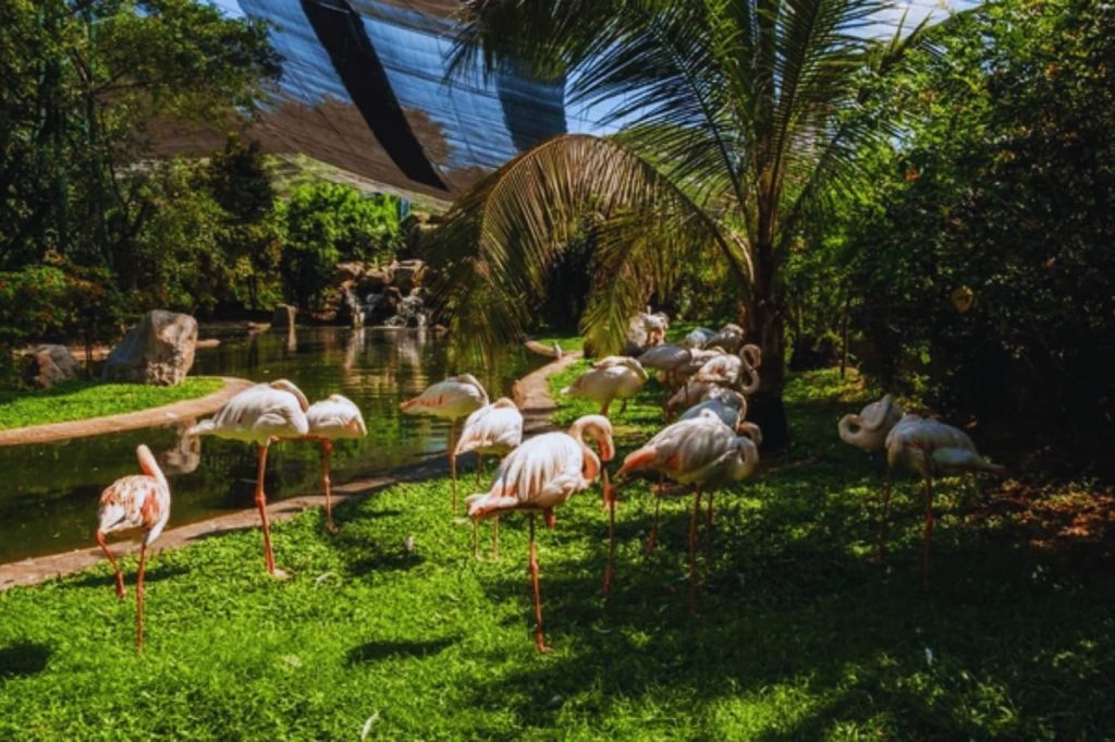Kuala Lumpur Bird Park
